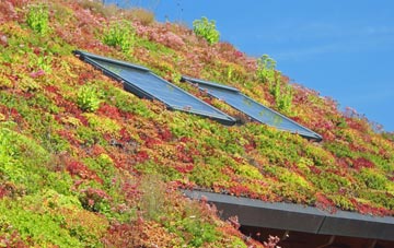 Shadforth living roof systems