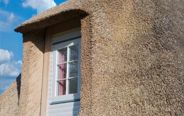 Shadforth thatch roof disadvantages