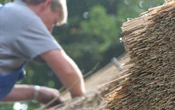 professional Shadforth thatchers