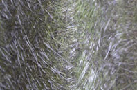 Shadforth fibreglass roof work